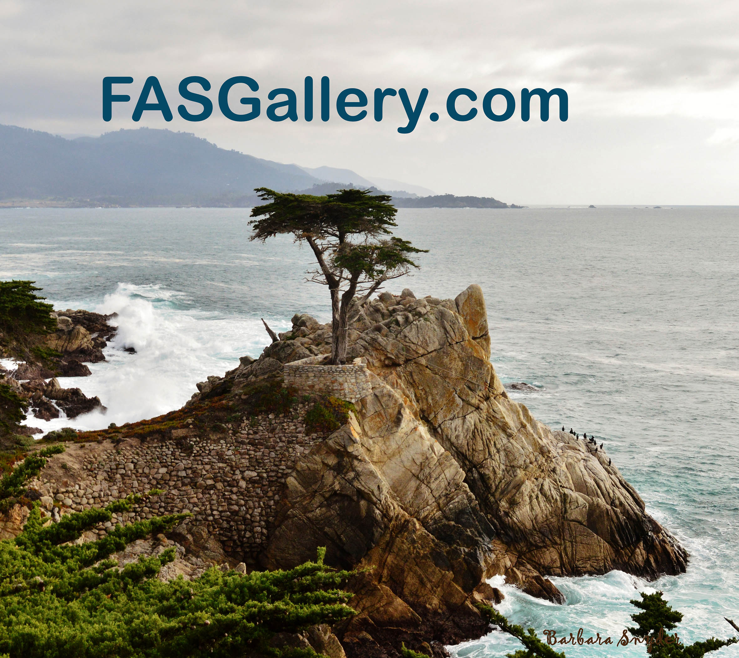 FASGallery